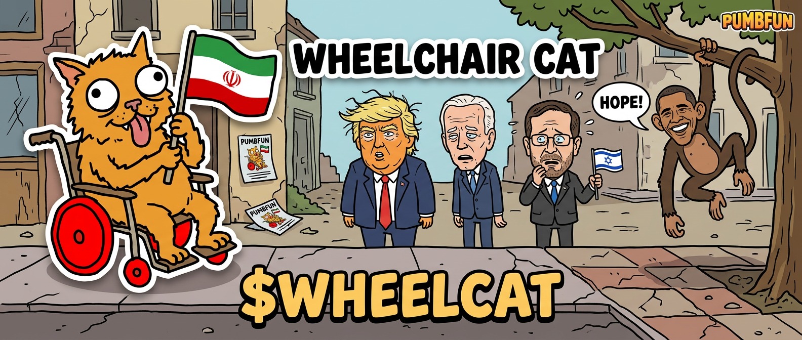 Wheelchair Cat banner